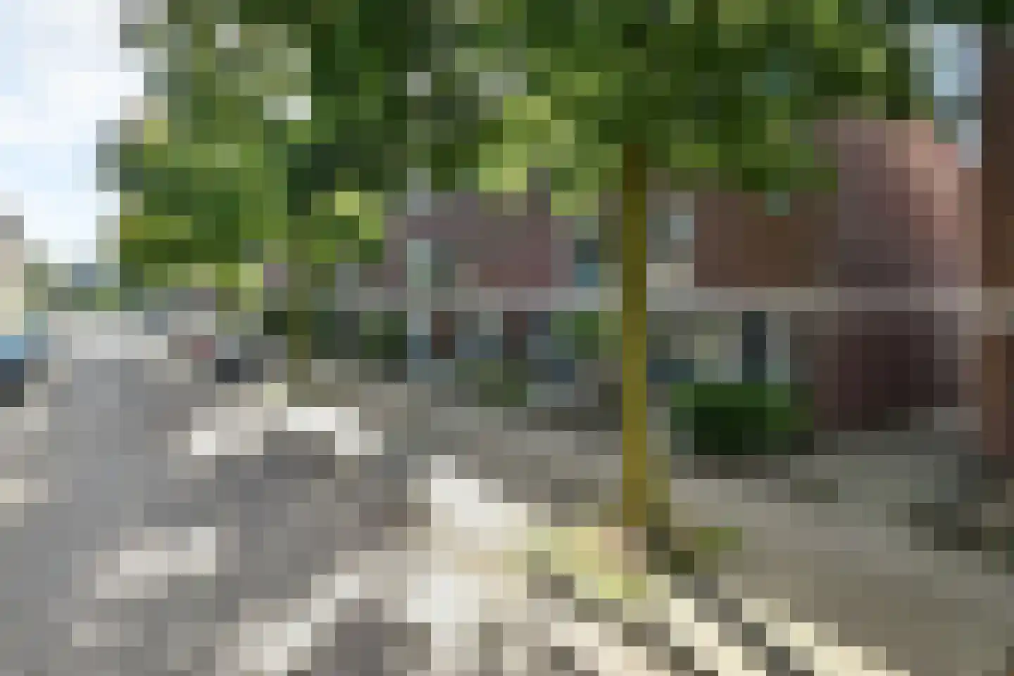 Morgenster 40 Elst thumbnail 44