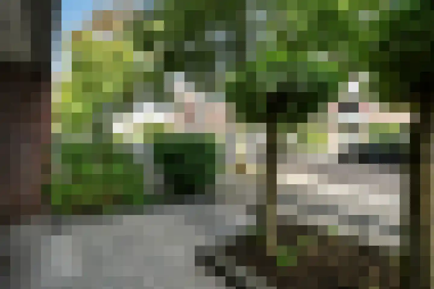 Morgenster 40 Elst thumbnail 5