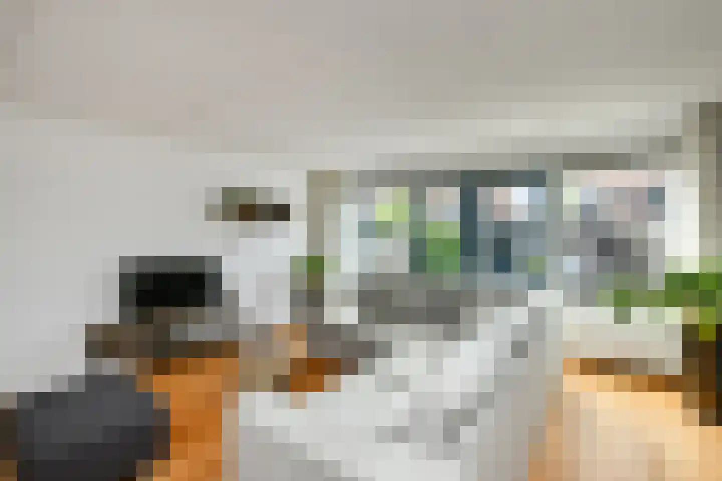 Morgenster 40 Elst thumbnail 6