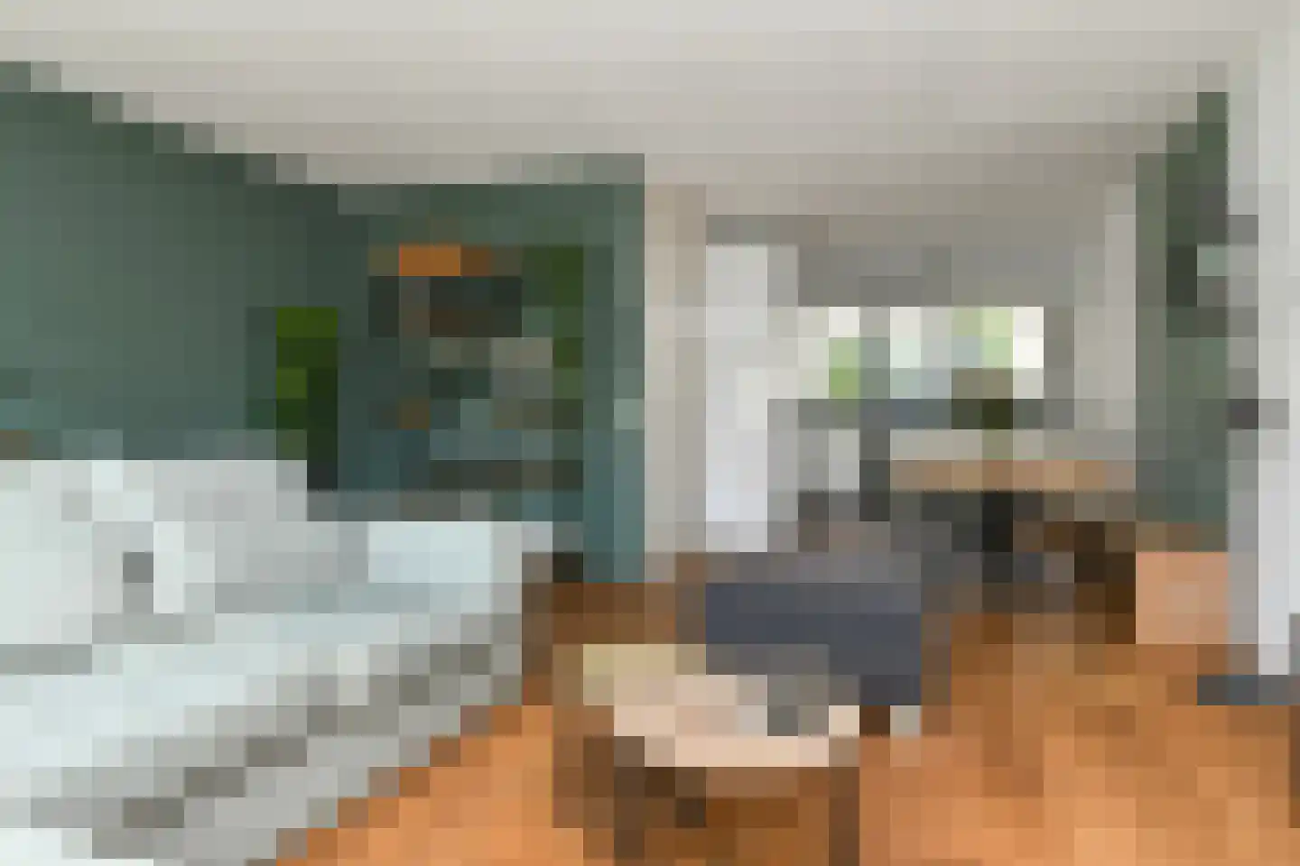 Morgenster 40 Elst thumbnail 8