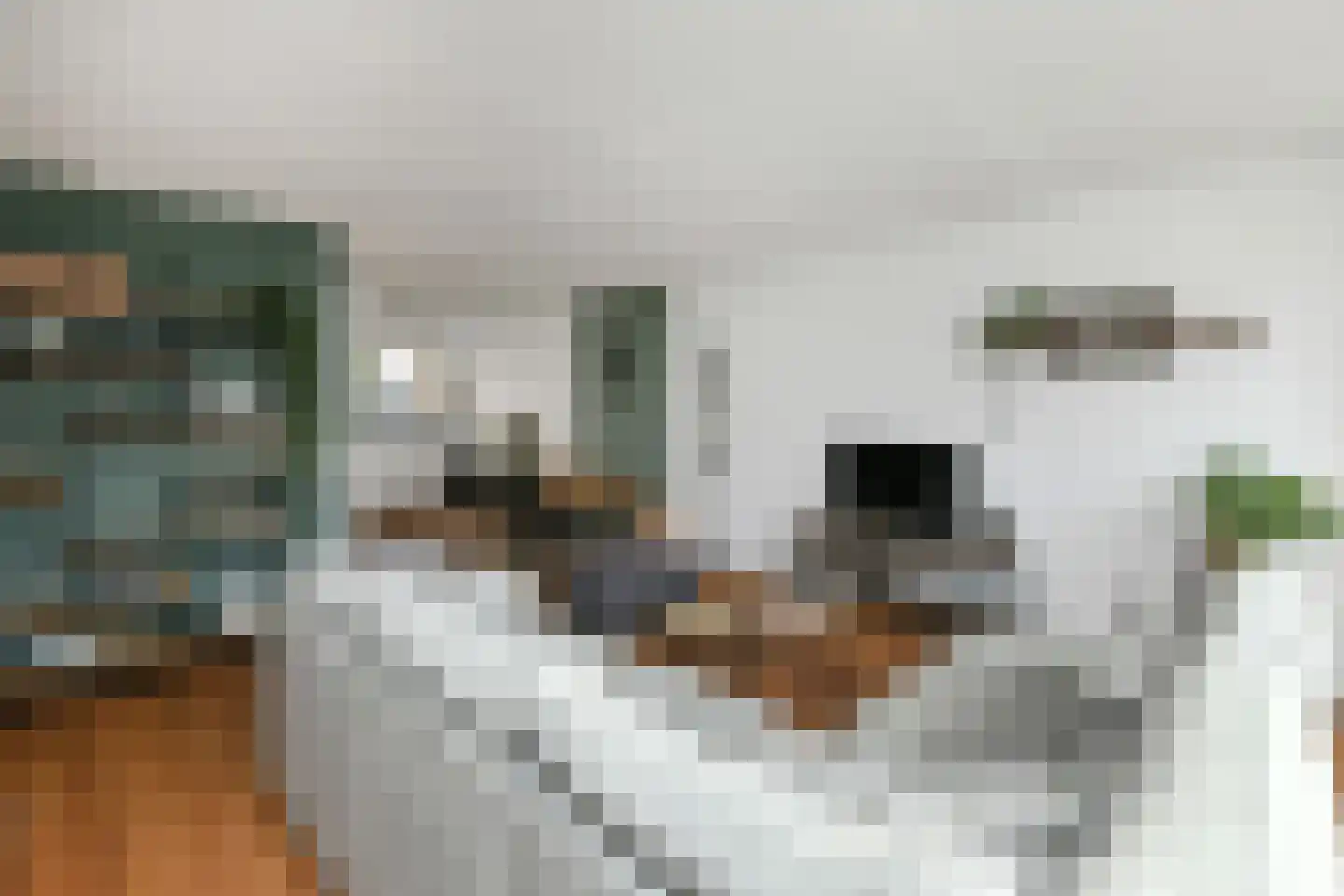 Morgenster 40 Elst thumbnail 9