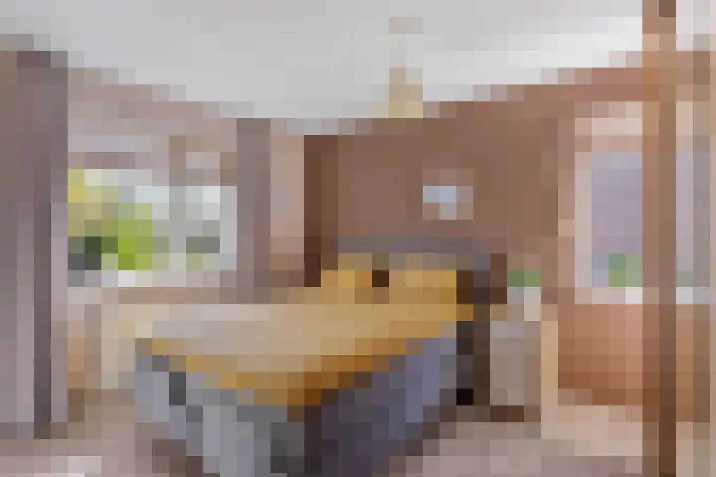 Morgenster 45 Nijverdal thumbnail 11