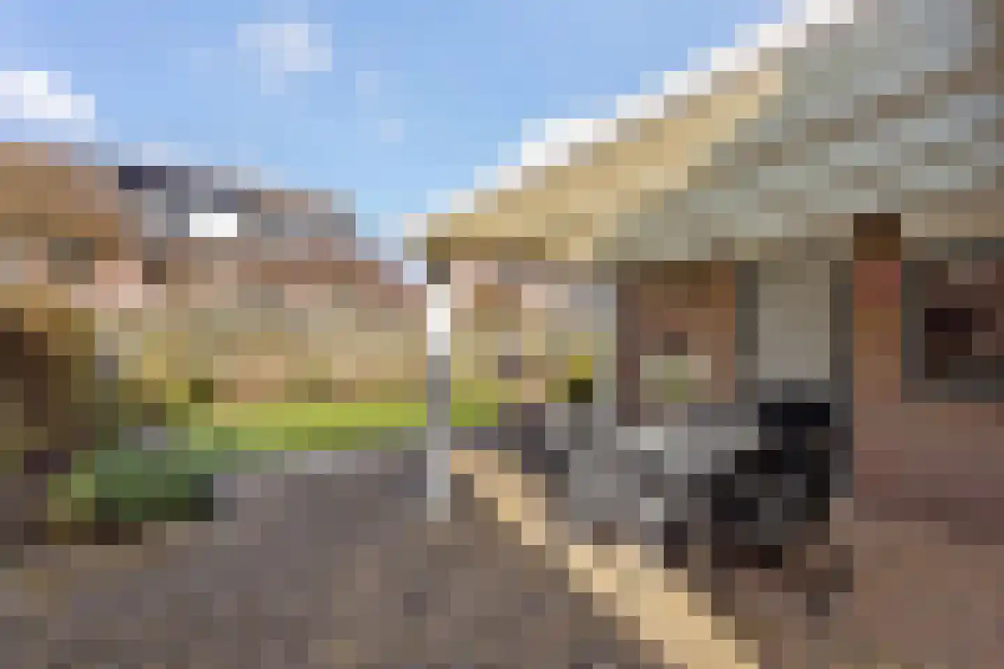 Morgenster 45 Nijverdal thumbnail 15
