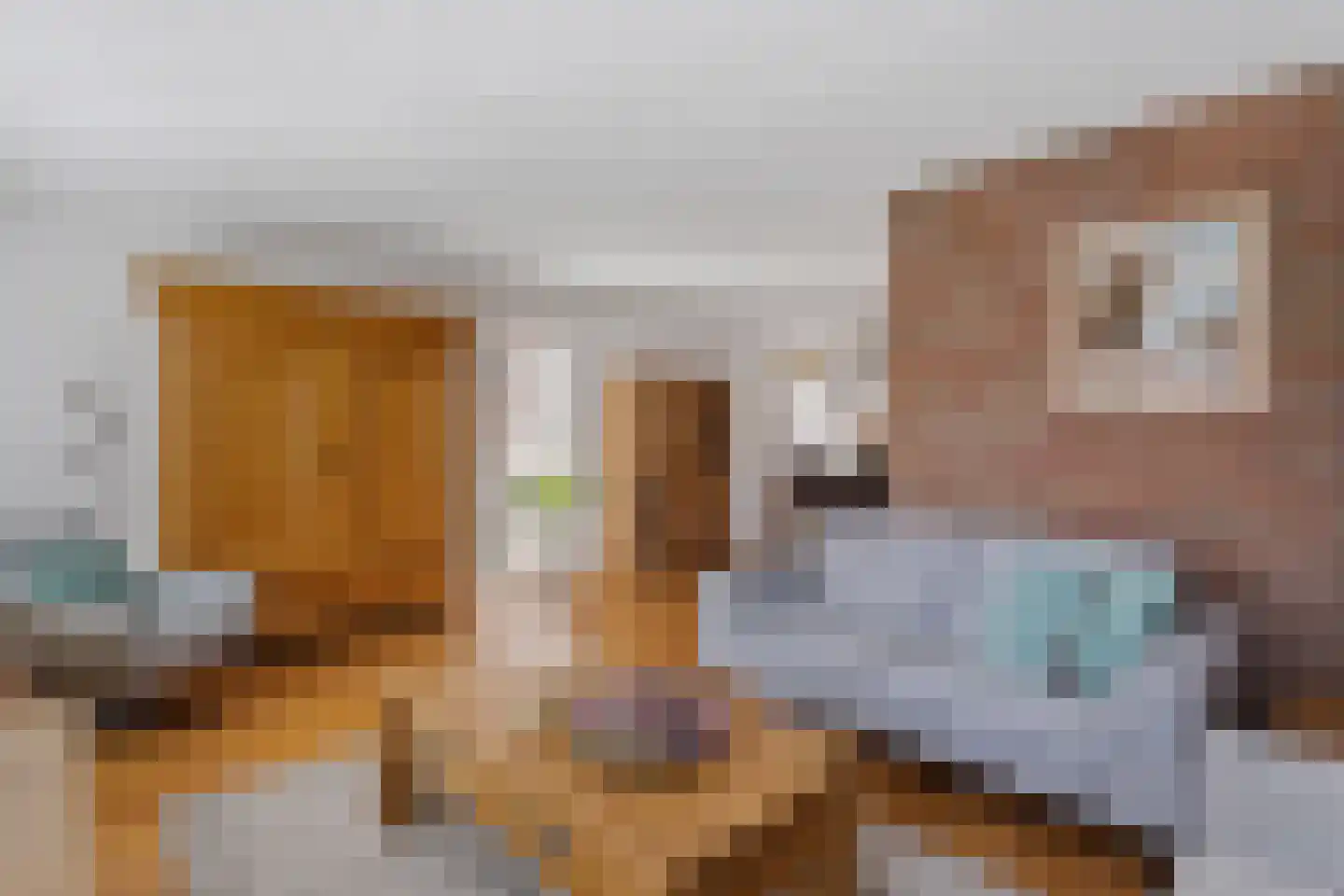 Morgenster 45 Nijverdal thumbnail 5