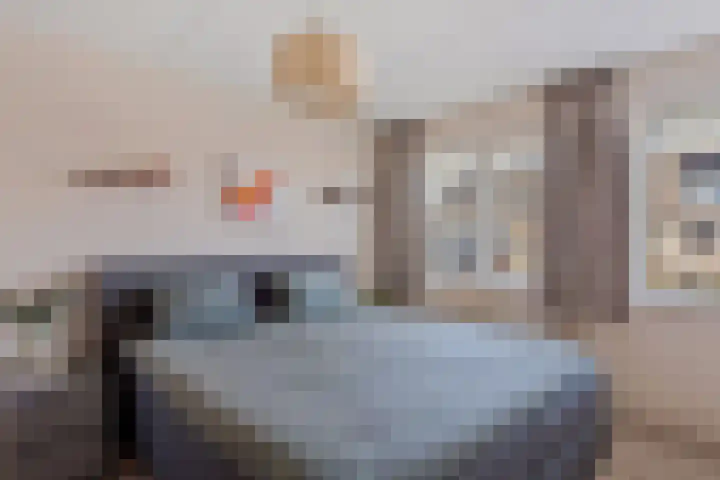 Morgenster 45 Nijverdal thumbnail 9
