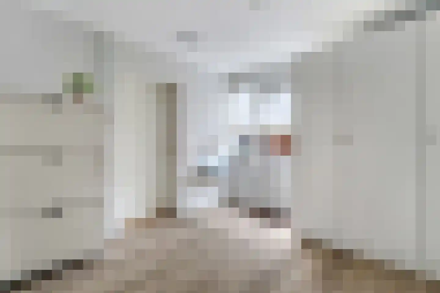 Morgenster 49 Nijverdal thumbnail 15