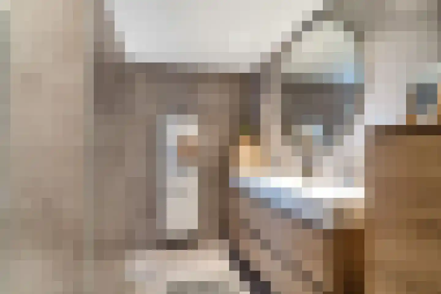 Morgenster 49 Nijverdal thumbnail 26
