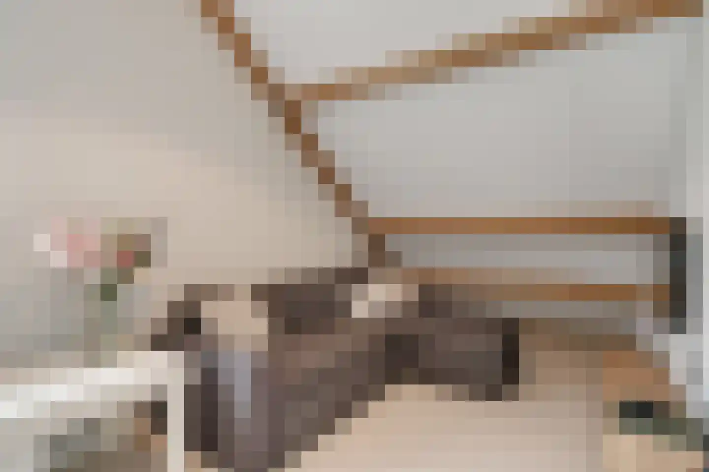 Morgenster 49 Nijverdal thumbnail 30