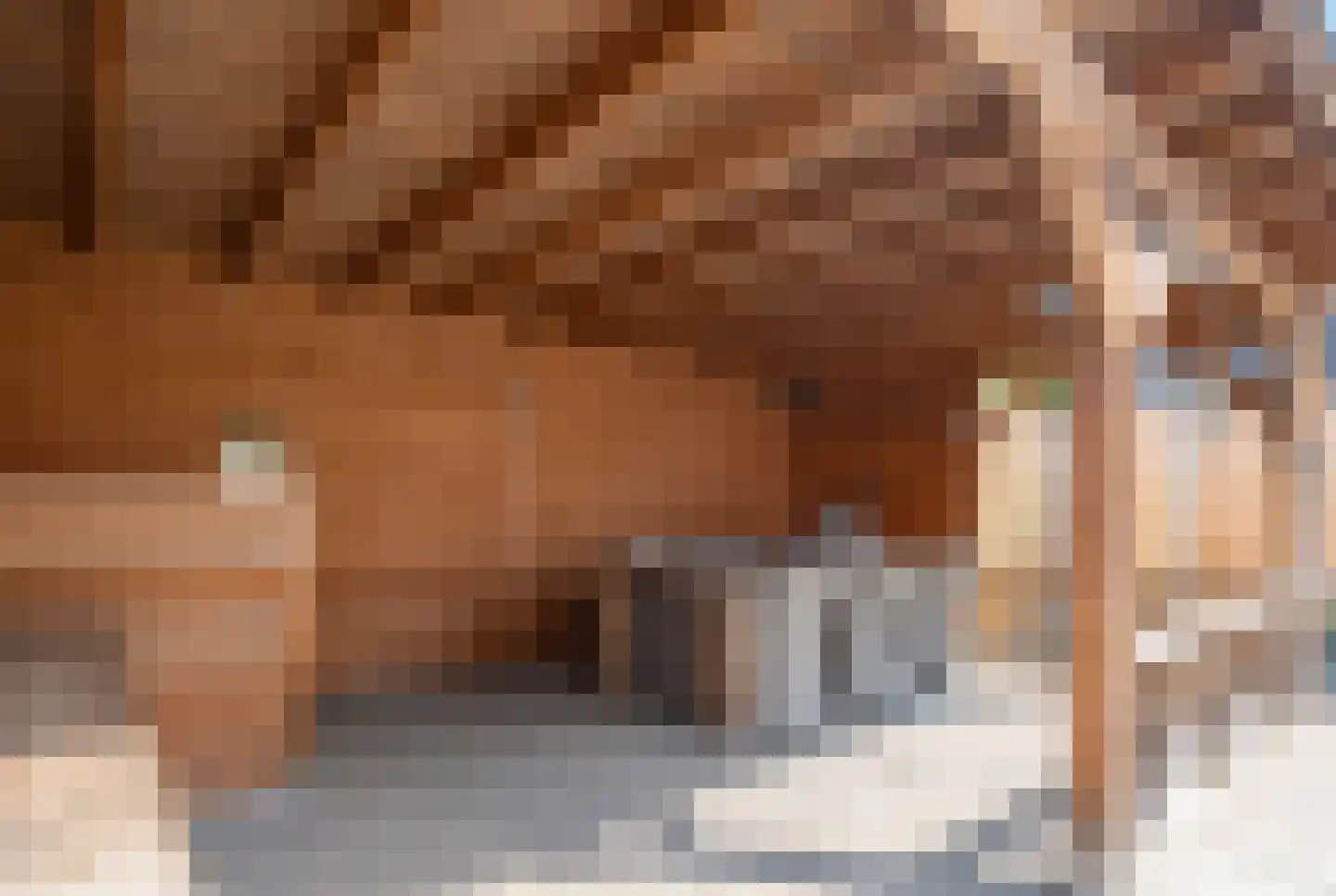 Morgenster 49 Nijverdal thumbnail 31