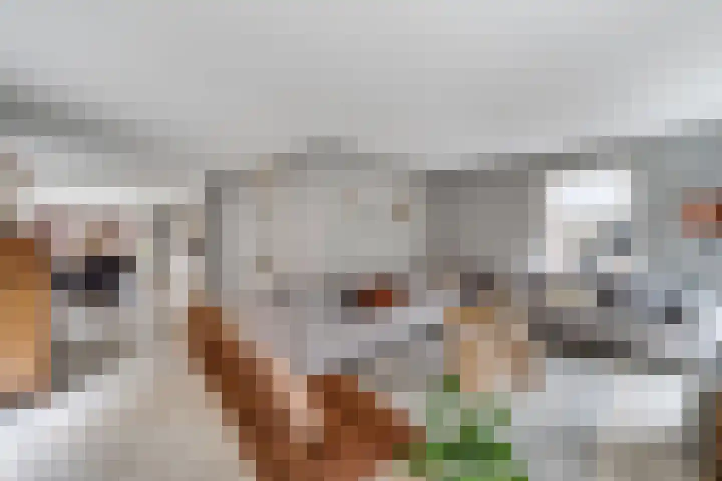 Morgenster 49 Nijverdal thumbnail 4
