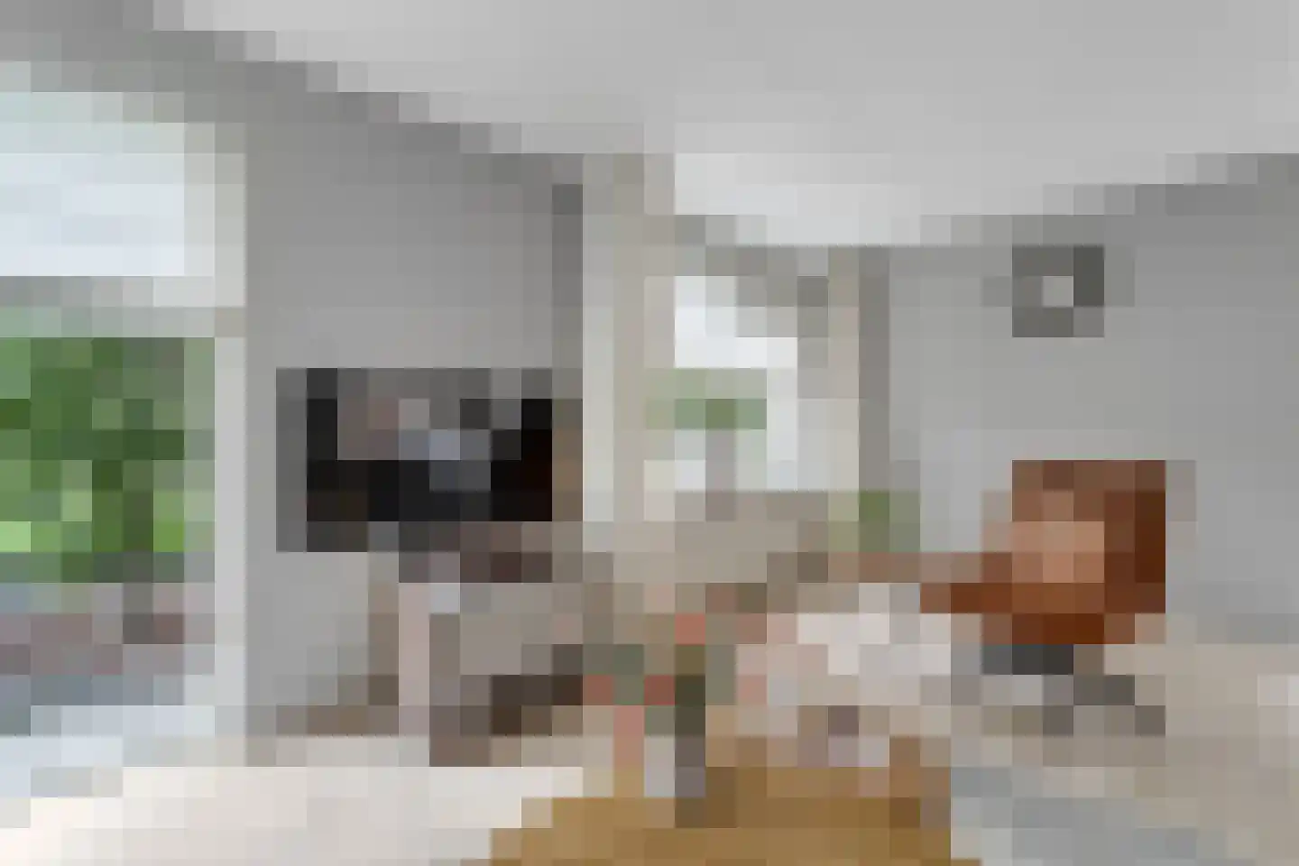 Morgenster 49 Nijverdal thumbnail 6