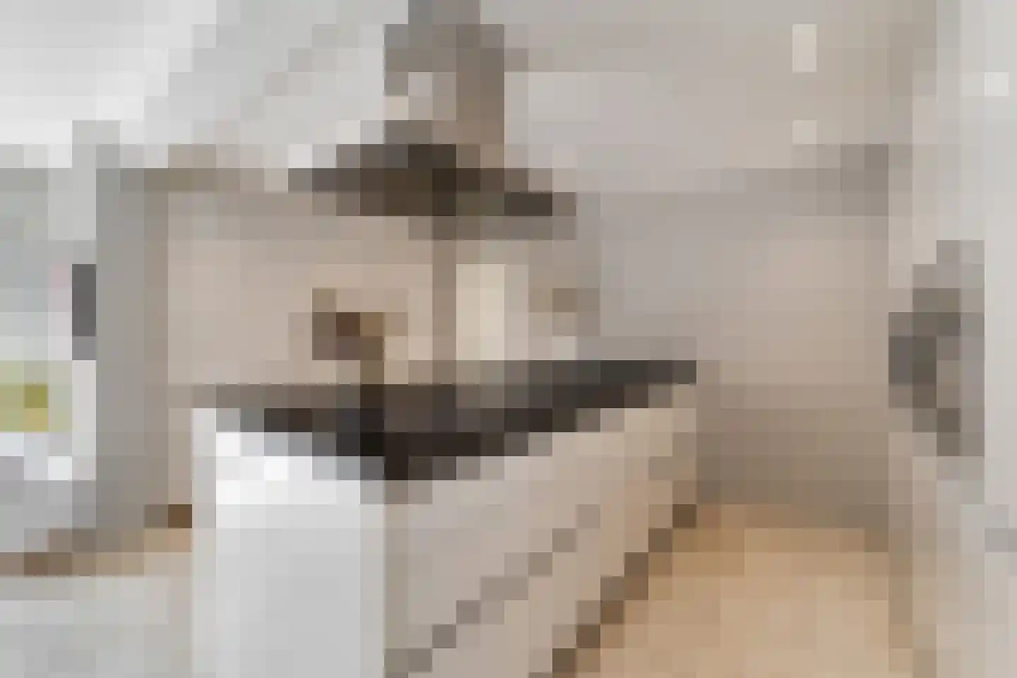 Morgenster 49 Nijverdal thumbnail 9