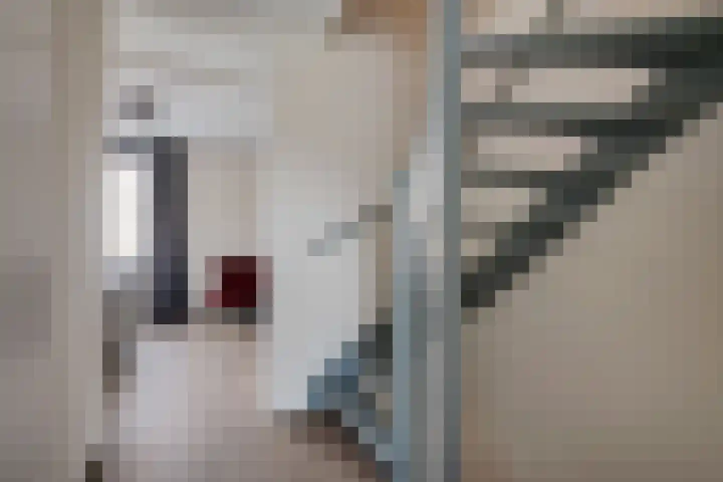 Morgenster 51 Noordwijk thumbnail 18