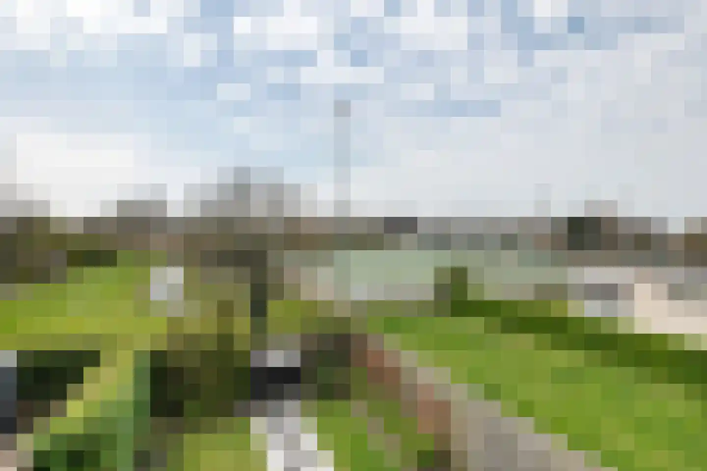 Morgenster 51 Noordwijk thumbnail 24