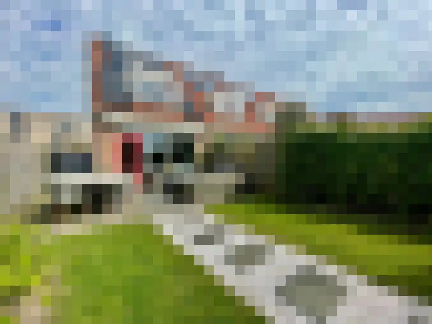 Morgenster 51 Noordwijk thumbnail 36