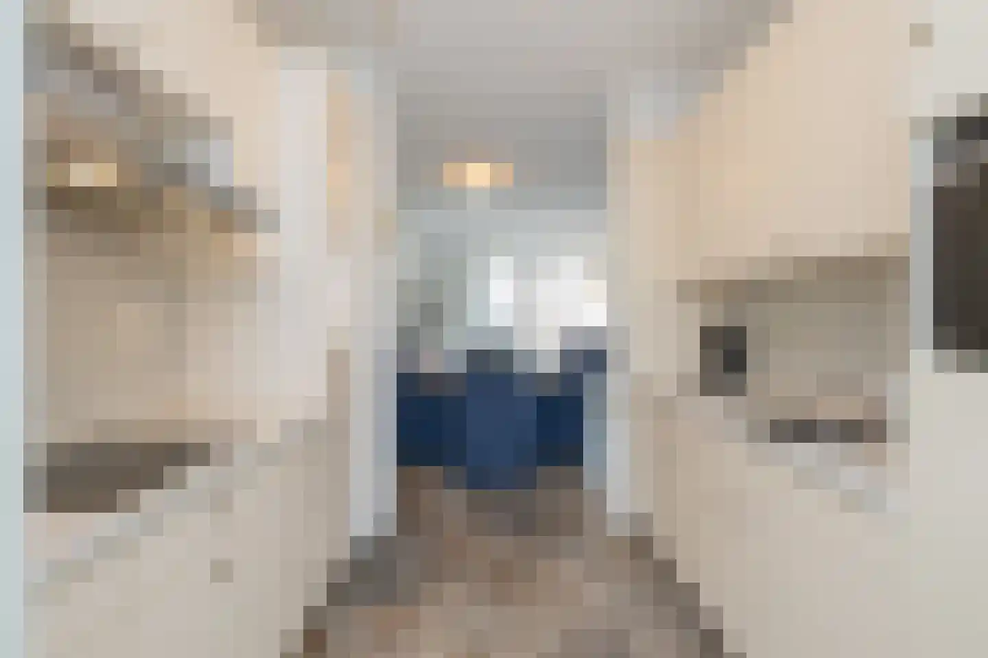 Morgenster 62 Noordwijk thumbnail 13