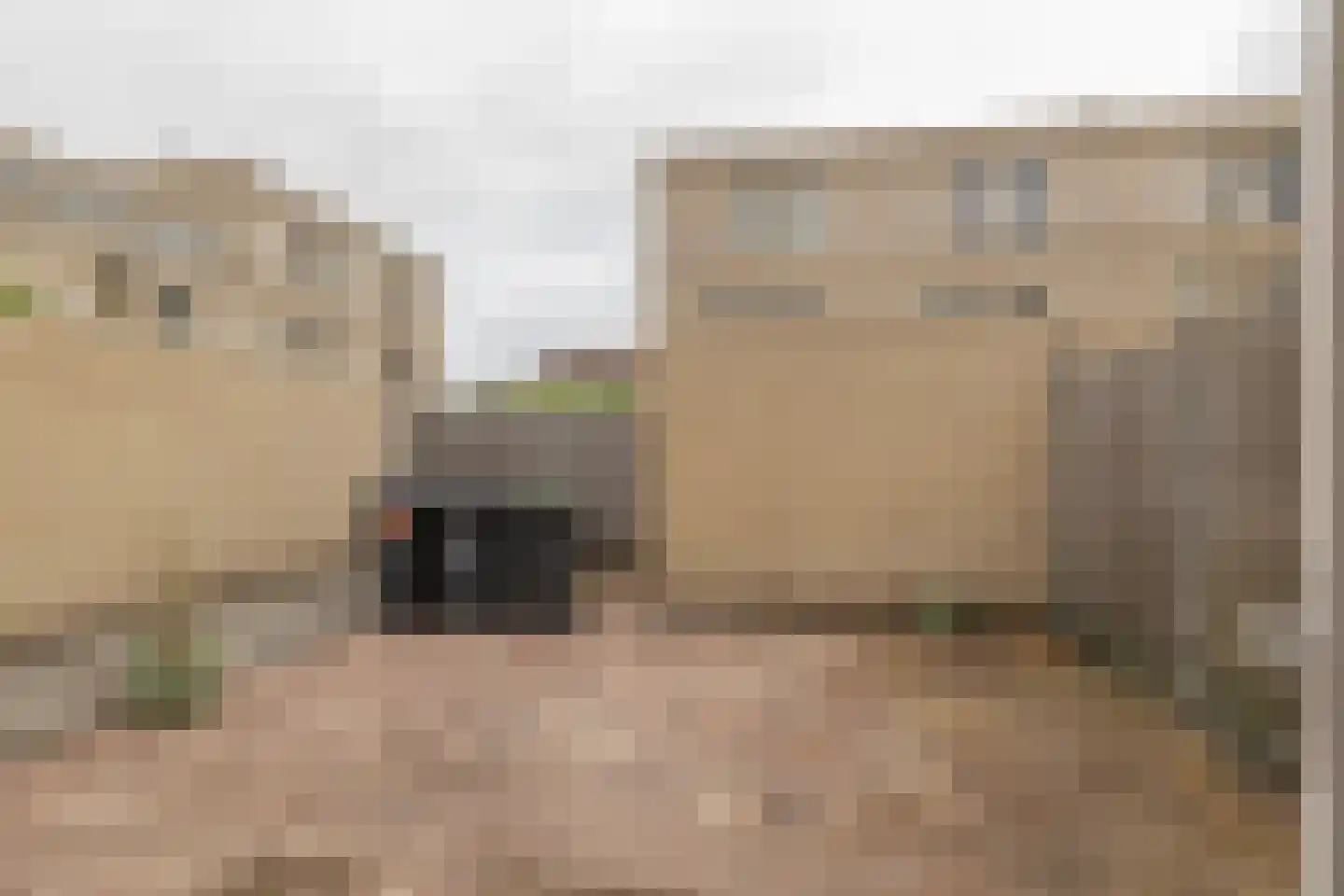 Morgenster 62 Noordwijk thumbnail 17