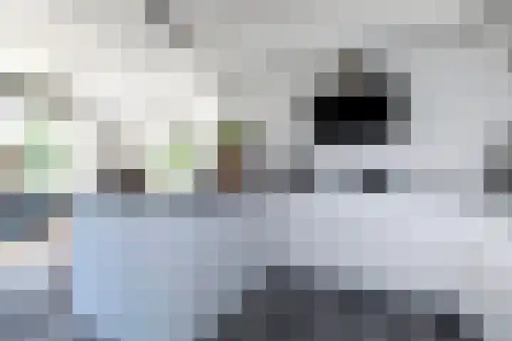Morgensterlaan 36 Beilen thumbnail 11