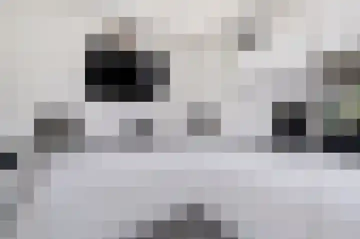Morgensterlaan 36 Beilen thumbnail 12