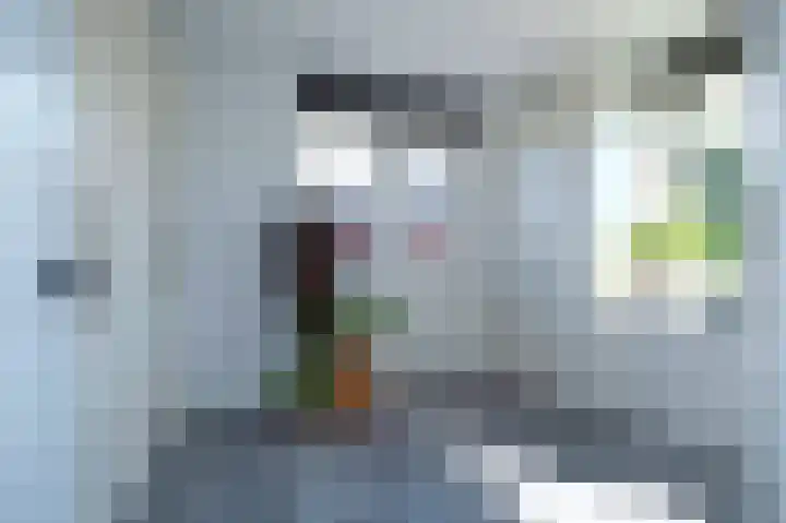 Morgensterlaan 36 Beilen thumbnail 19