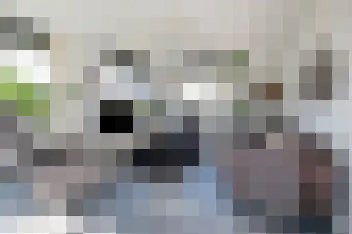 Morgensterlaan 36 Beilen foto 2