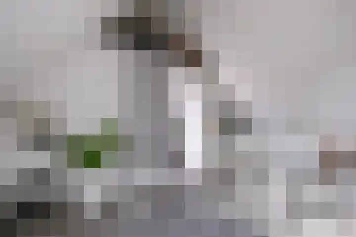 Morgensterlaan 36 Beilen thumbnail 31