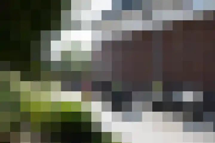 Morgensterlaan 36 Beilen thumbnail 40