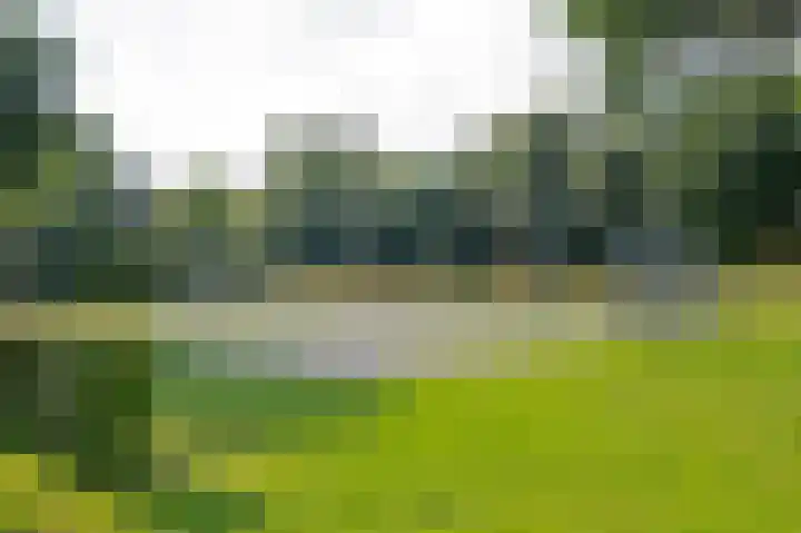 Morgensterlaan 36 Beilen thumbnail 56
