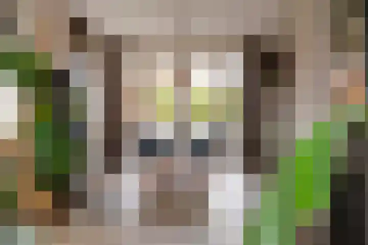 Morgensterlaan 42 Beilen thumbnail 12