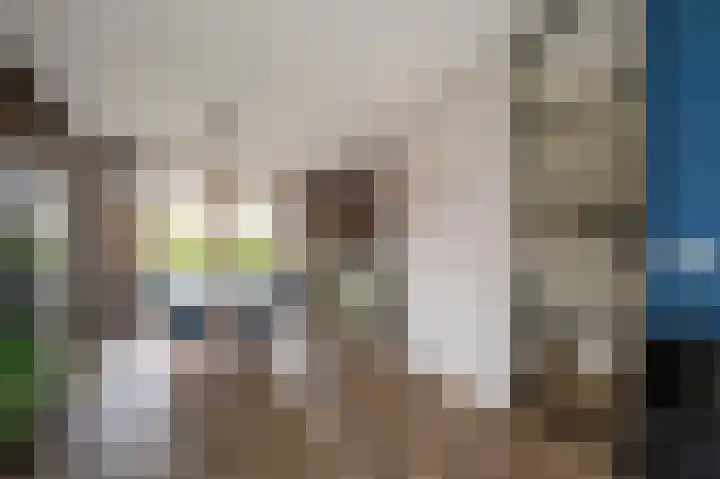 Morgensterlaan 42 Beilen thumbnail 13