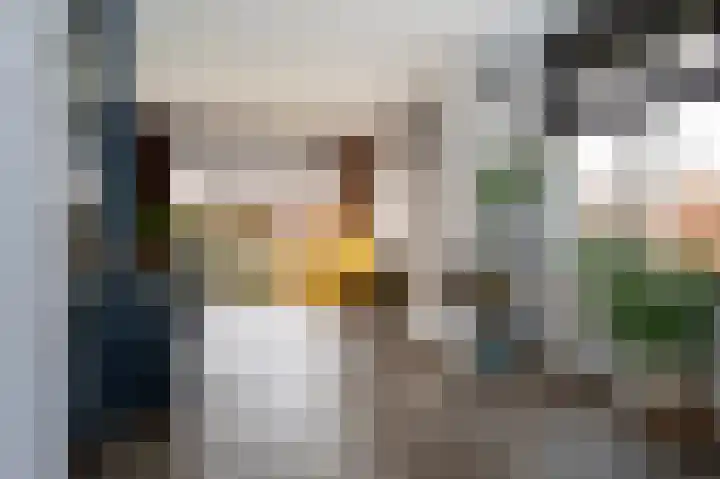 Morgensterlaan 42 Beilen thumbnail 17