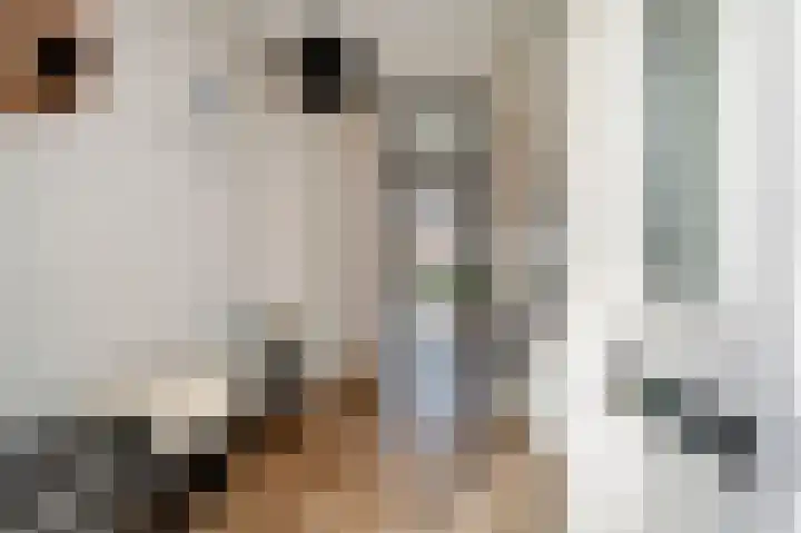 Morgensterlaan 42 Beilen thumbnail 27