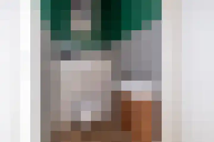 Morgensterlaan 42 Beilen thumbnail 28