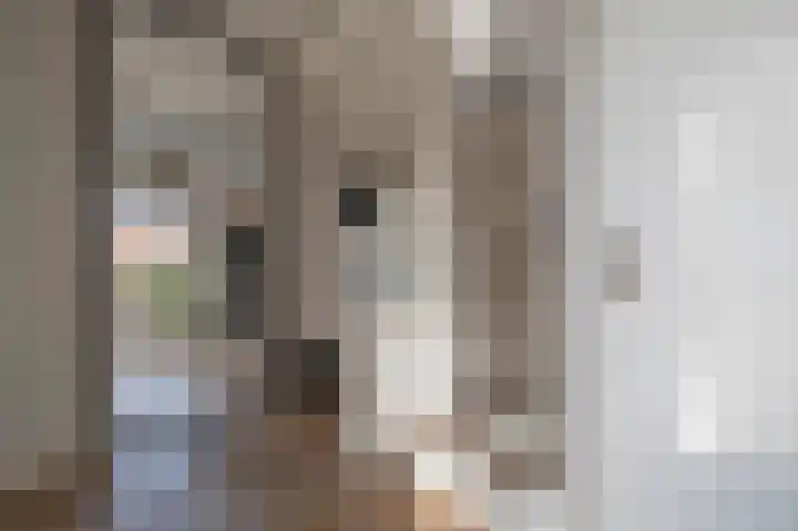 Morgensterlaan 42 Beilen thumbnail 31