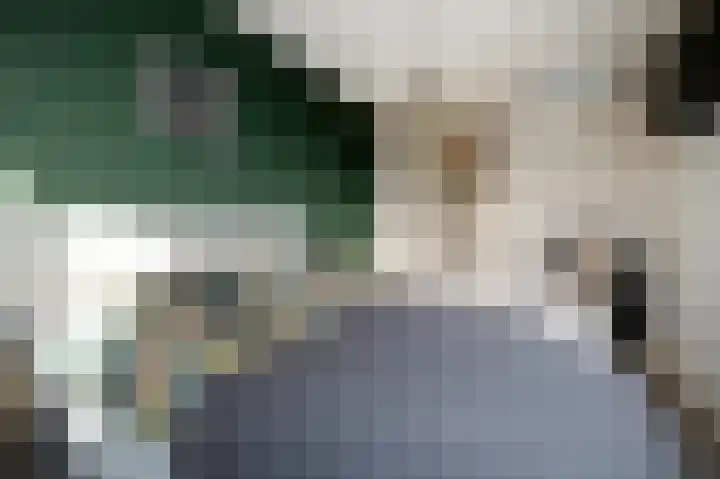 Morgensterlaan 42 Beilen thumbnail 38