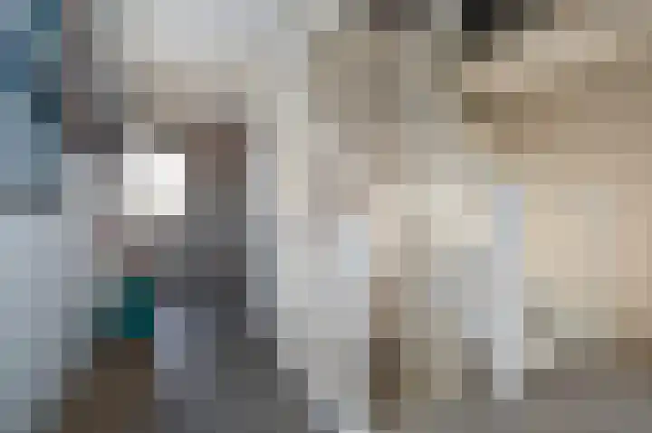 Morgensterlaan 42 Beilen thumbnail 39