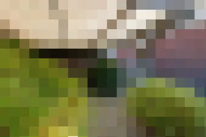 Morgensterlaan 42 Beilen thumbnail 49