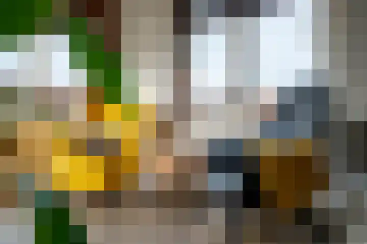 Morgensterlaan 42 Beilen thumbnail 7