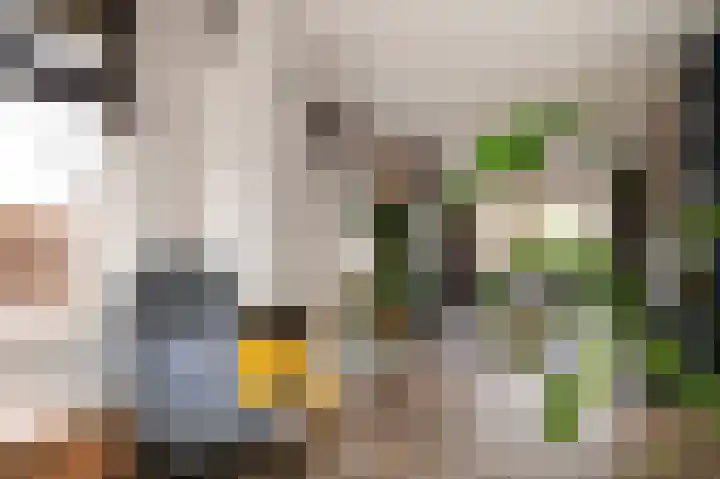 Morgensterlaan 42 Beilen thumbnail 9