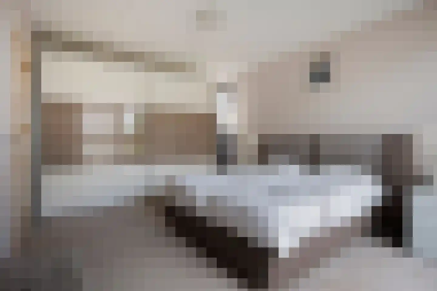 Morgensterstraat 47 Sittard thumbnail 32