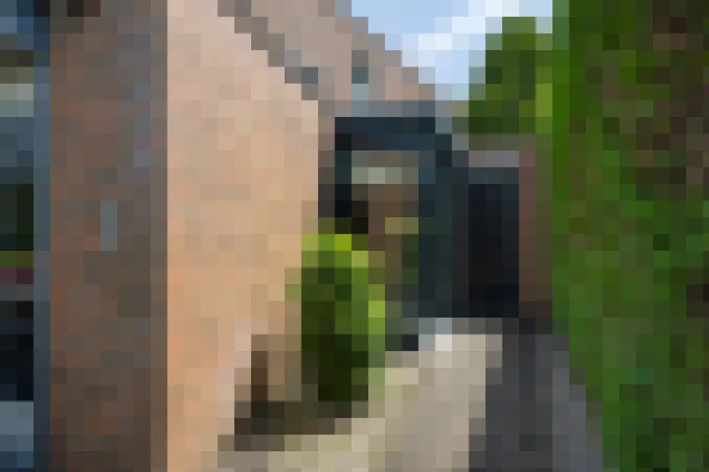 Morgensterstraat 47 Sittard thumbnail 45