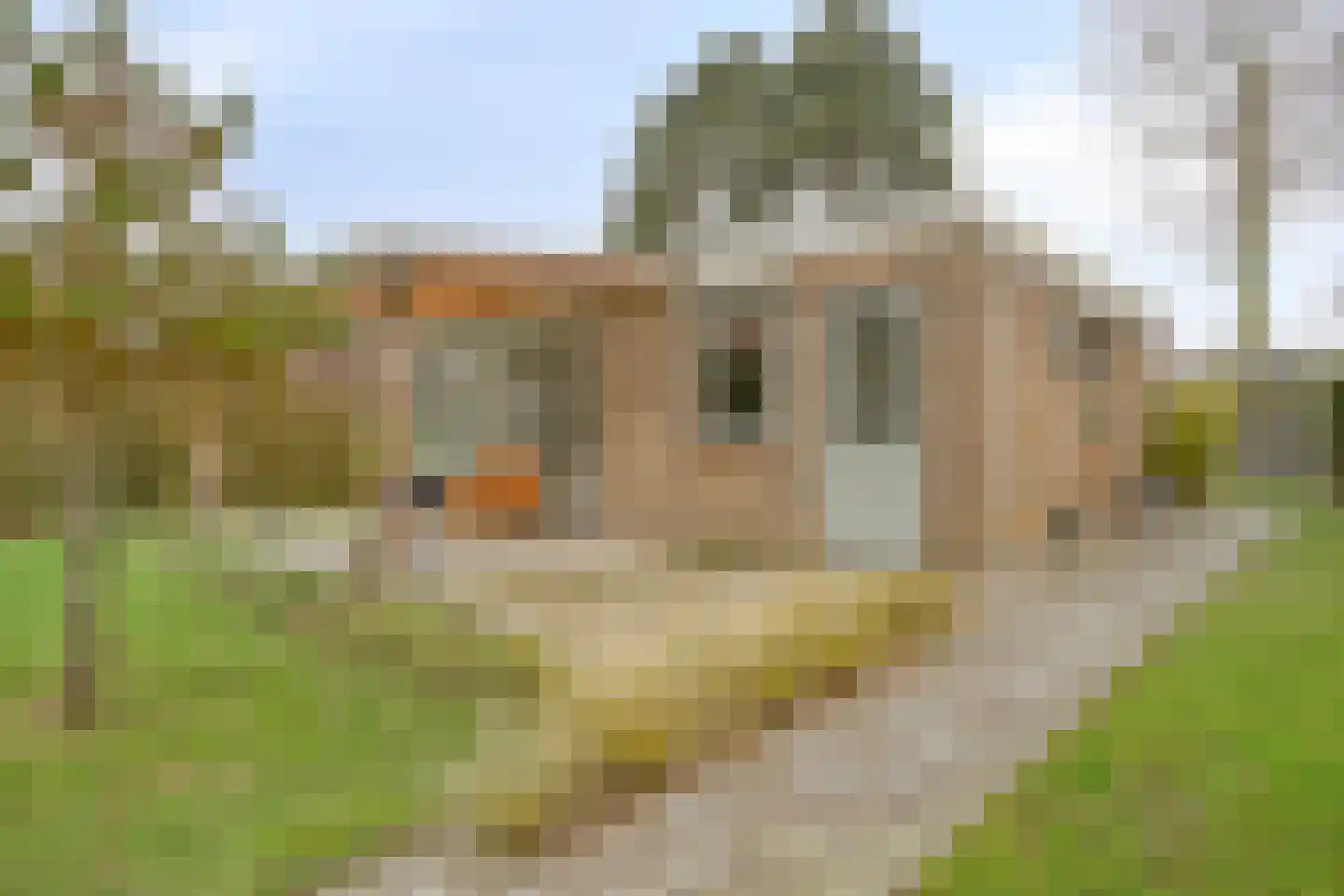 Morgensterwei 23 Kortgene