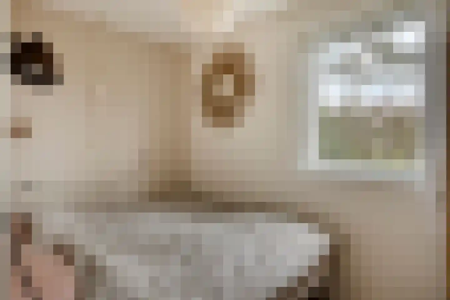 Morgensterwei 23 Kortgene thumbnail 11