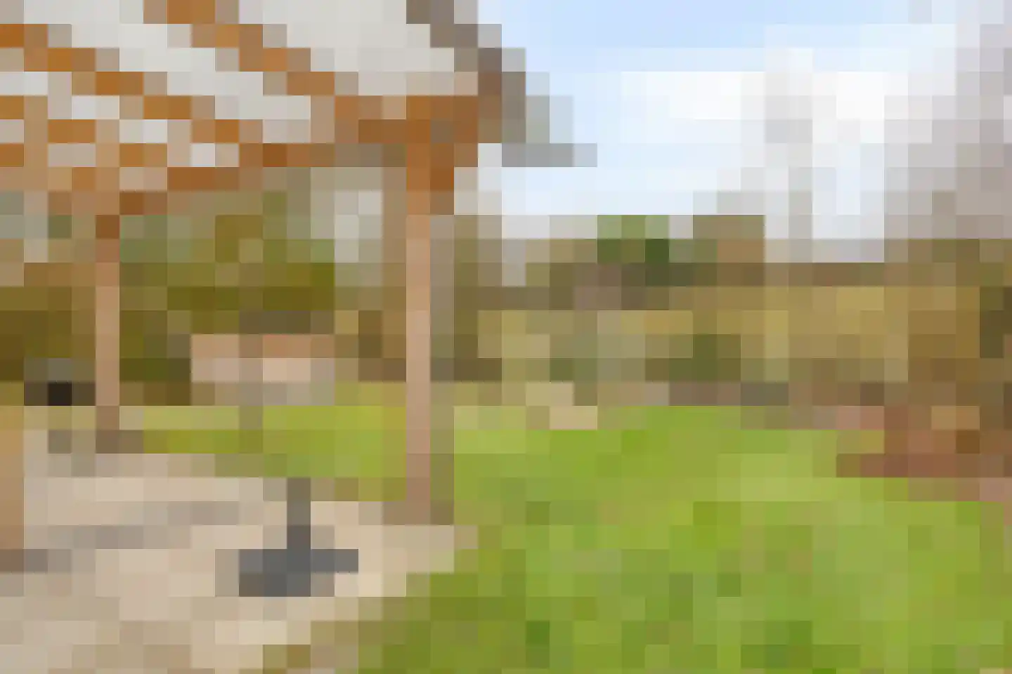 Morgensterwei 23 Kortgene thumbnail 19