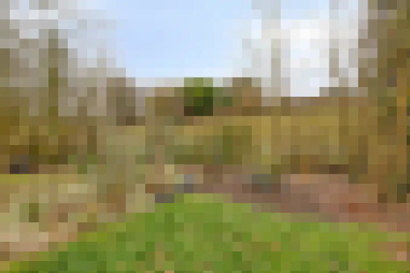 Morgensterwei 23 Kortgene thumbnail 22
