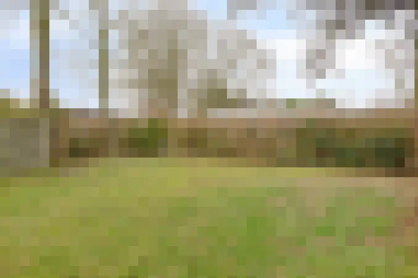 Morgensterwei 23 Kortgene thumbnail 6