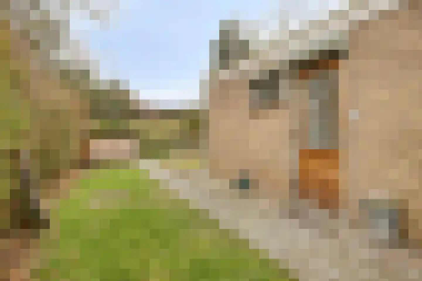 Morgensterwei 23 Kortgene thumbnail 7