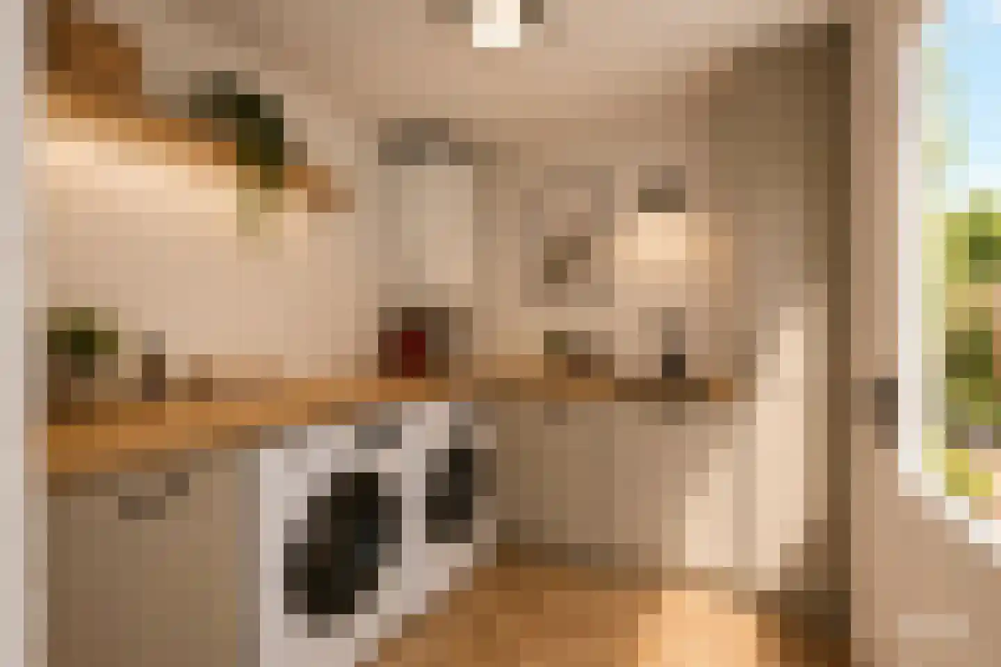 Morgenstond 16 Hooge Zwaluwe thumbnail 10