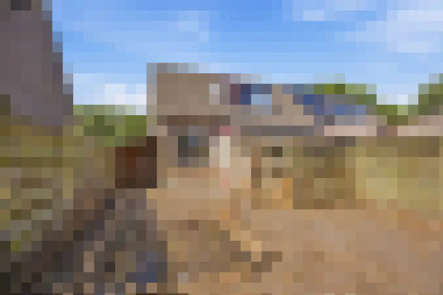 Morgenstond 16 Hooge Zwaluwe thumbnail 19
