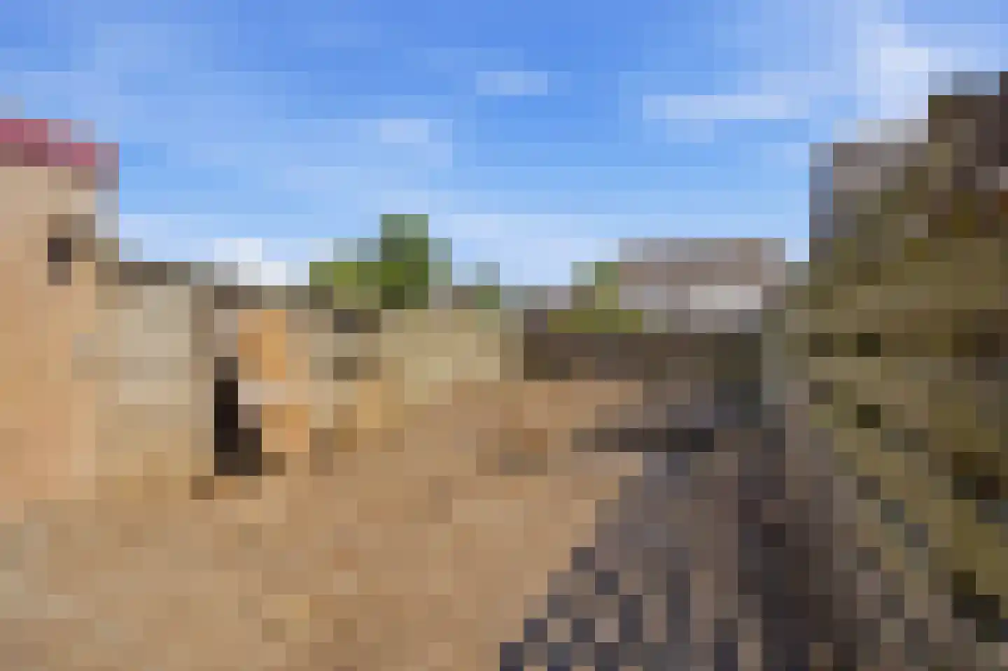 Morgenstond 16 Hooge Zwaluwe thumbnail 20